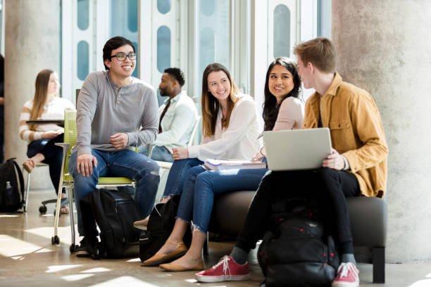 best capstone project help